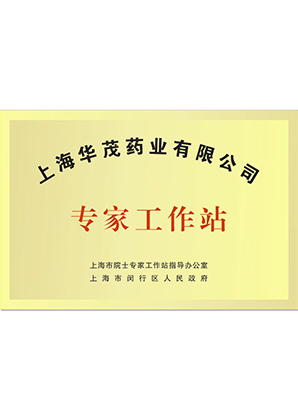 Expert workstation of Shanghai Huamao Pharmaceutical Co., LTD